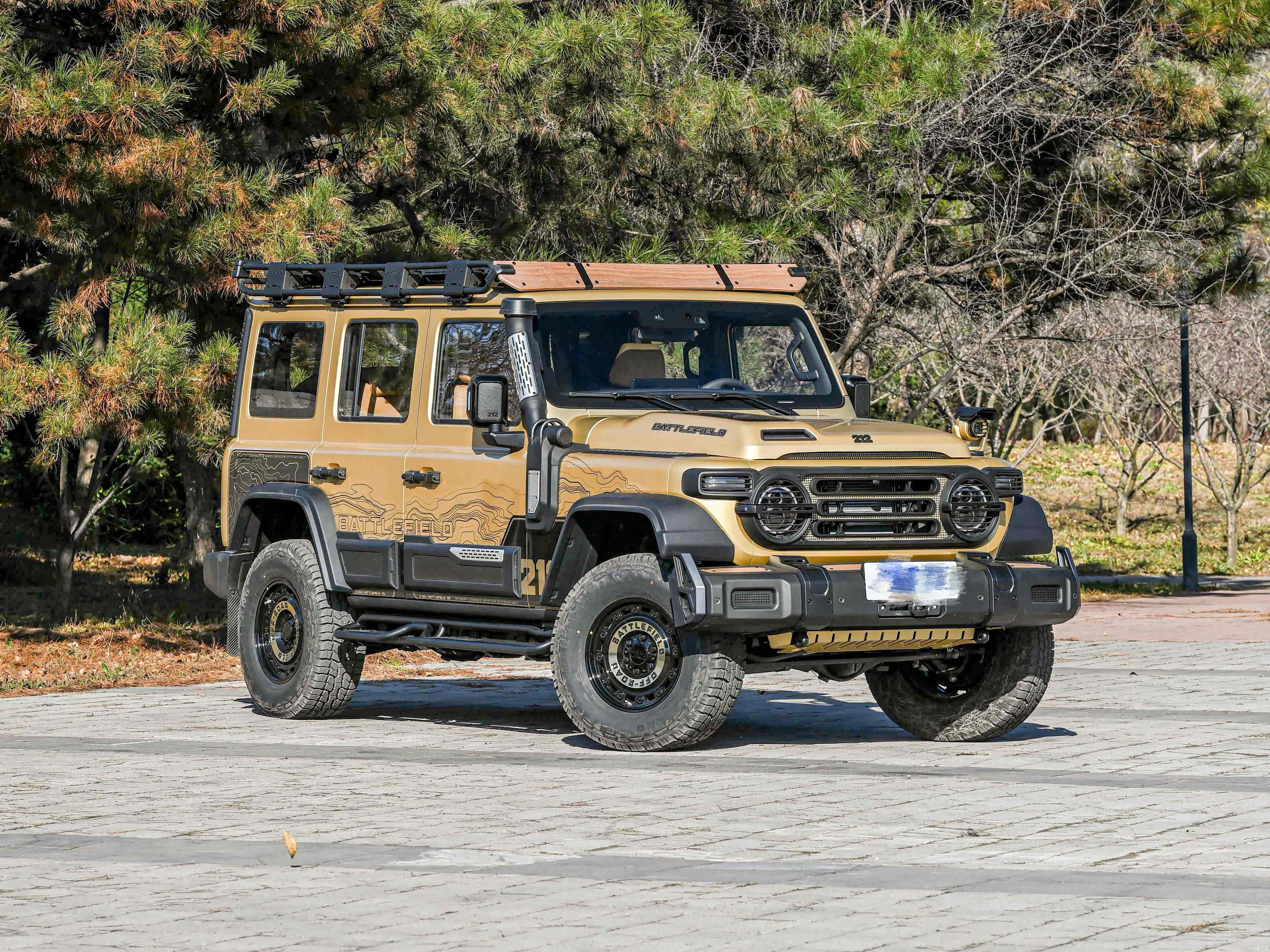 BAIC-212