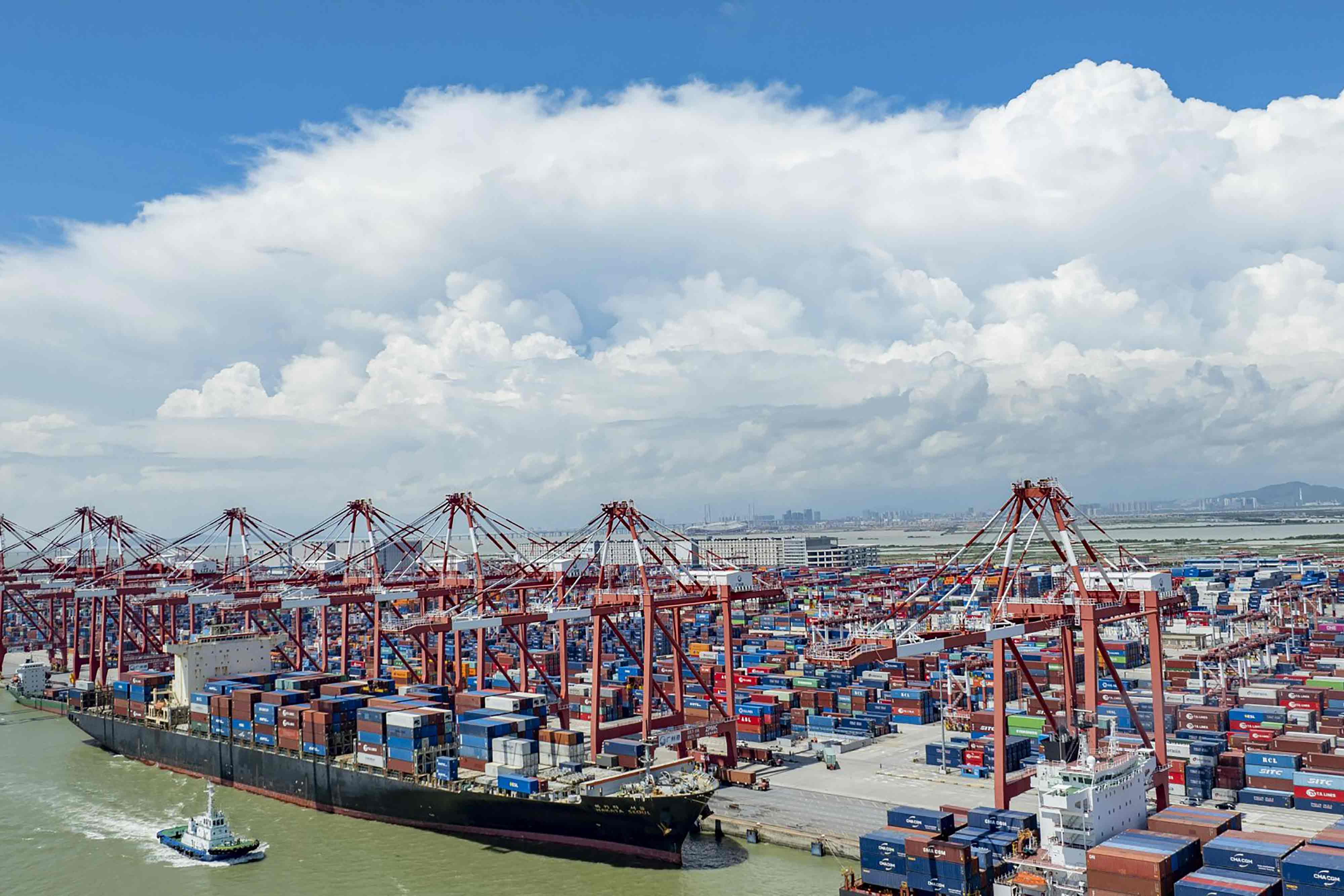 Electric vehicles being loaded into containers at a Chinese port for international export.