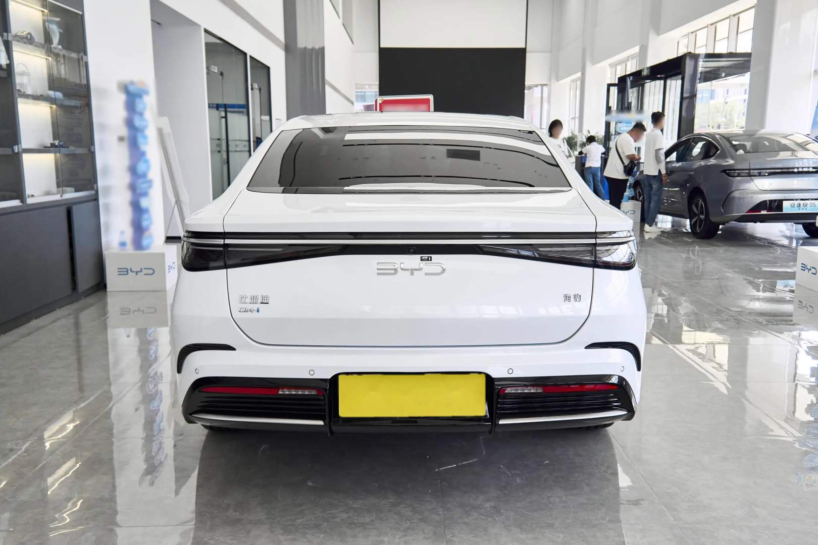 BYD Seal DM