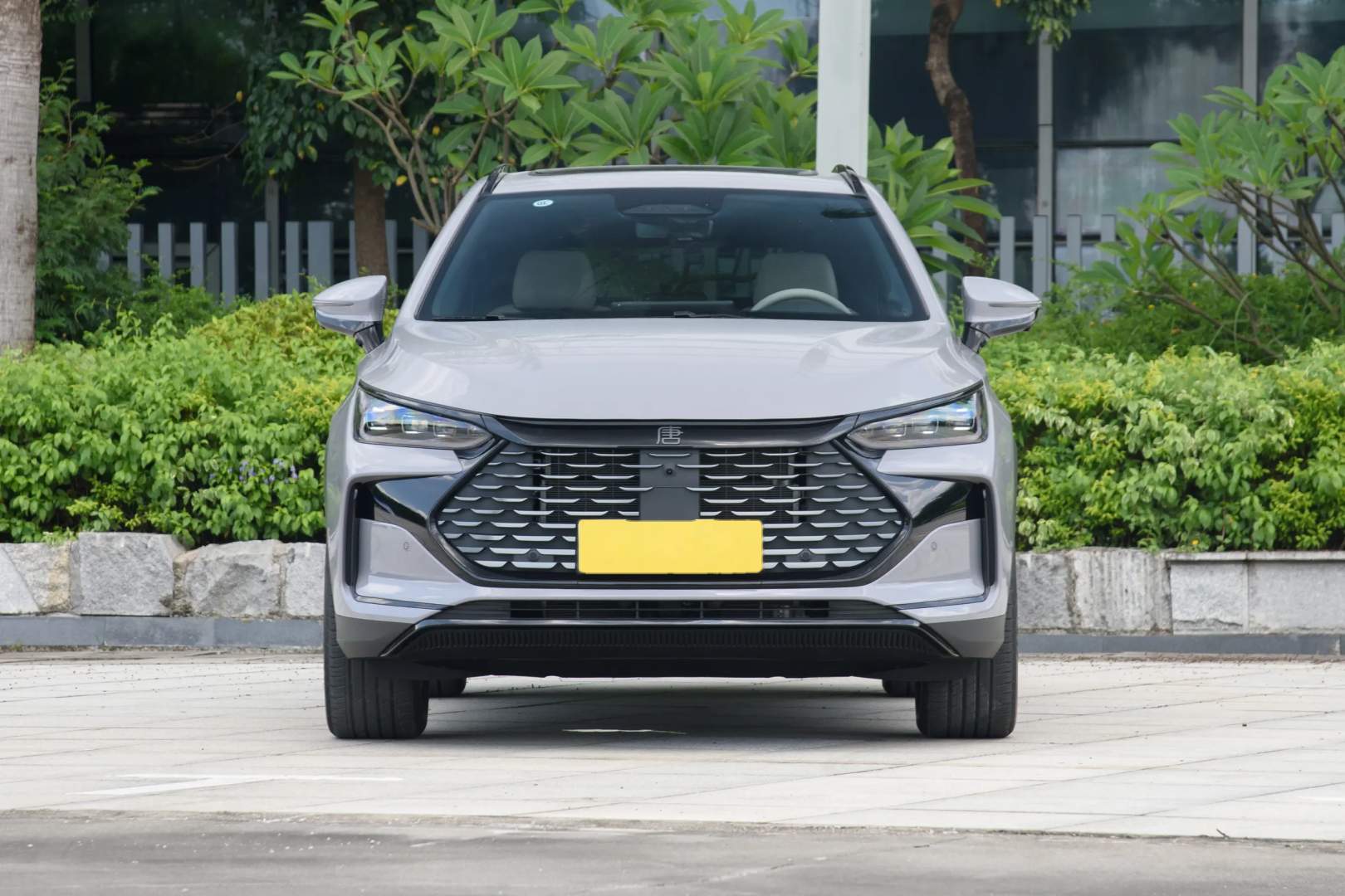 BYD Tang DM