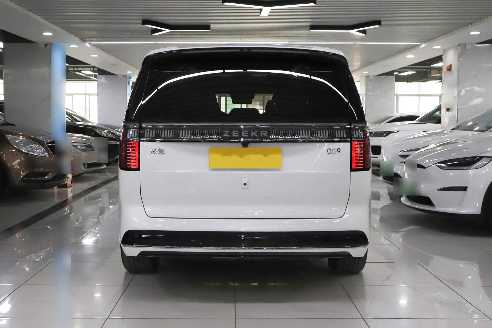 ZEEKR 009