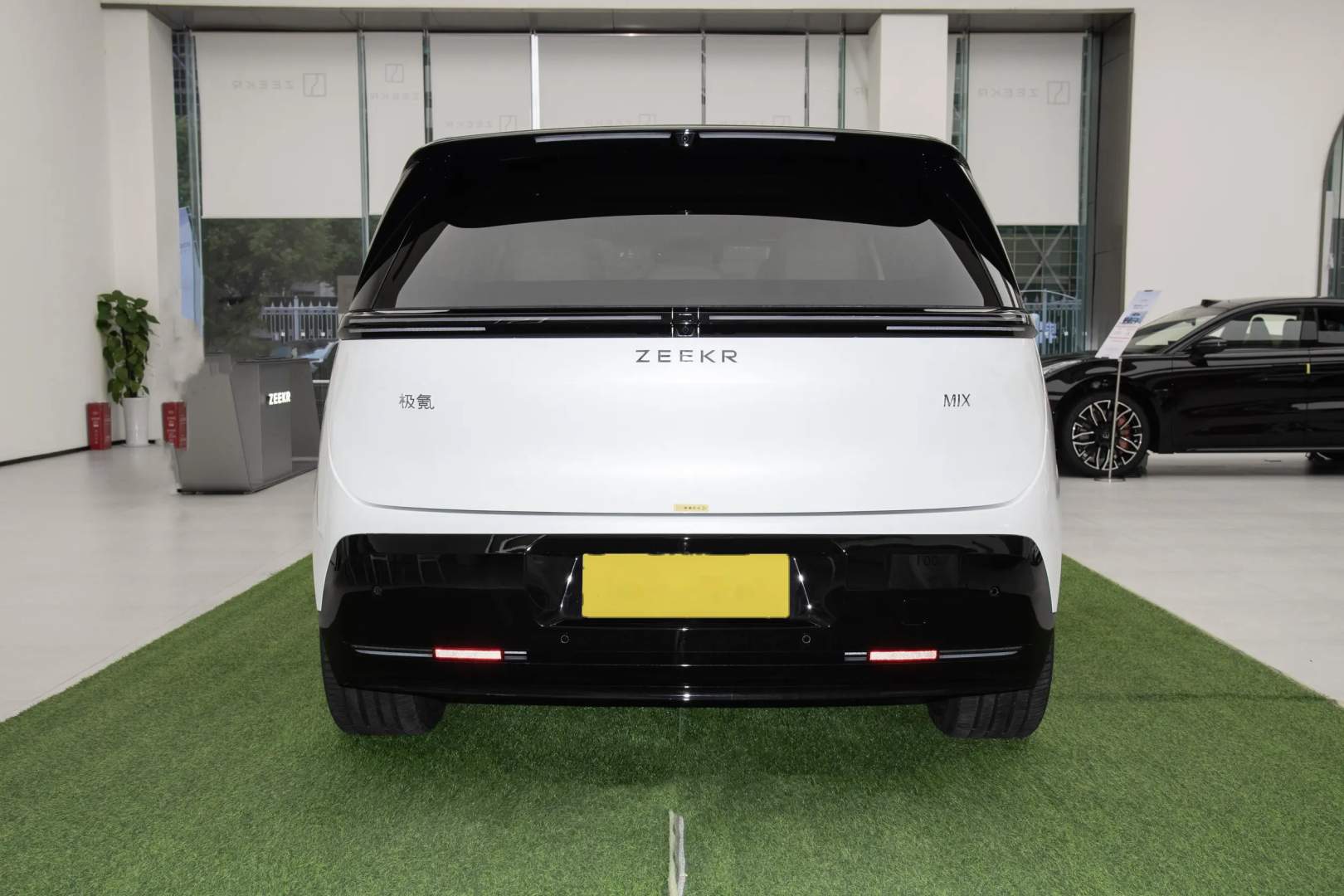 ZEEKR MIX