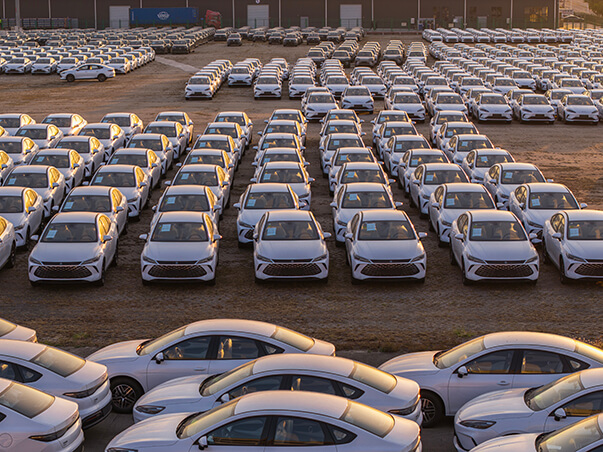 Certified Used NEV Export Preparation